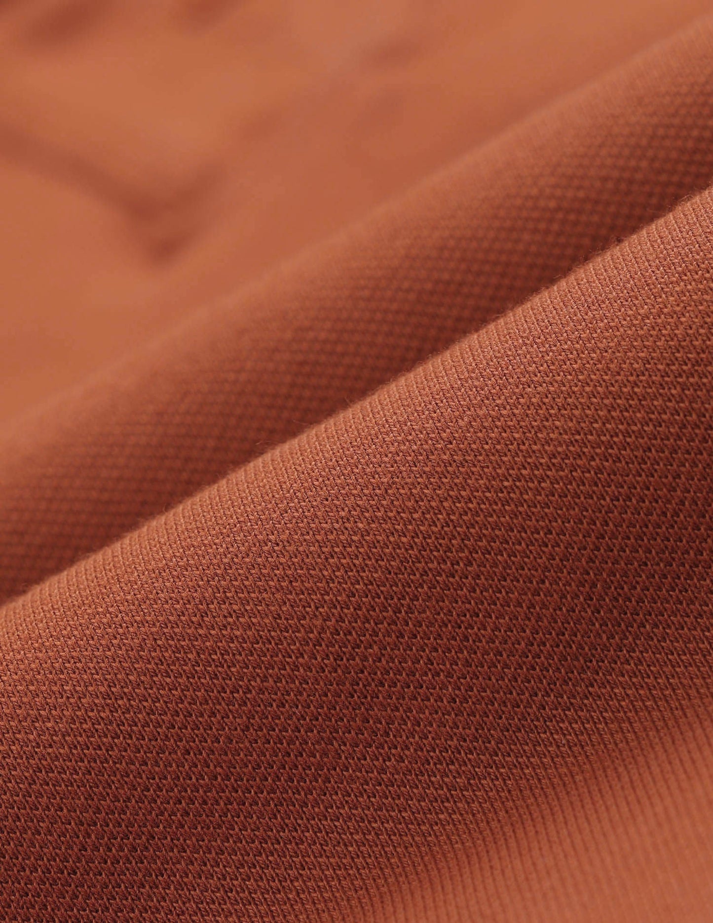 Solid Regular Fit Polo Shirt