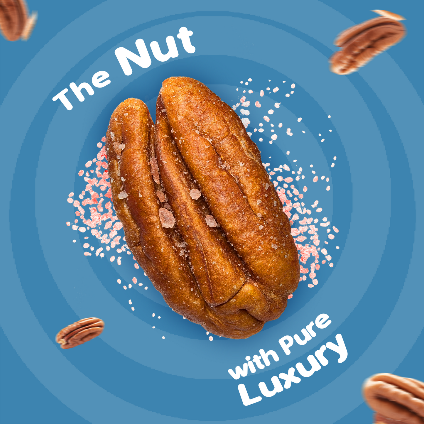 Nutraj Snackrite Roasted & Salted Pecan Nuts 40 g Pouch