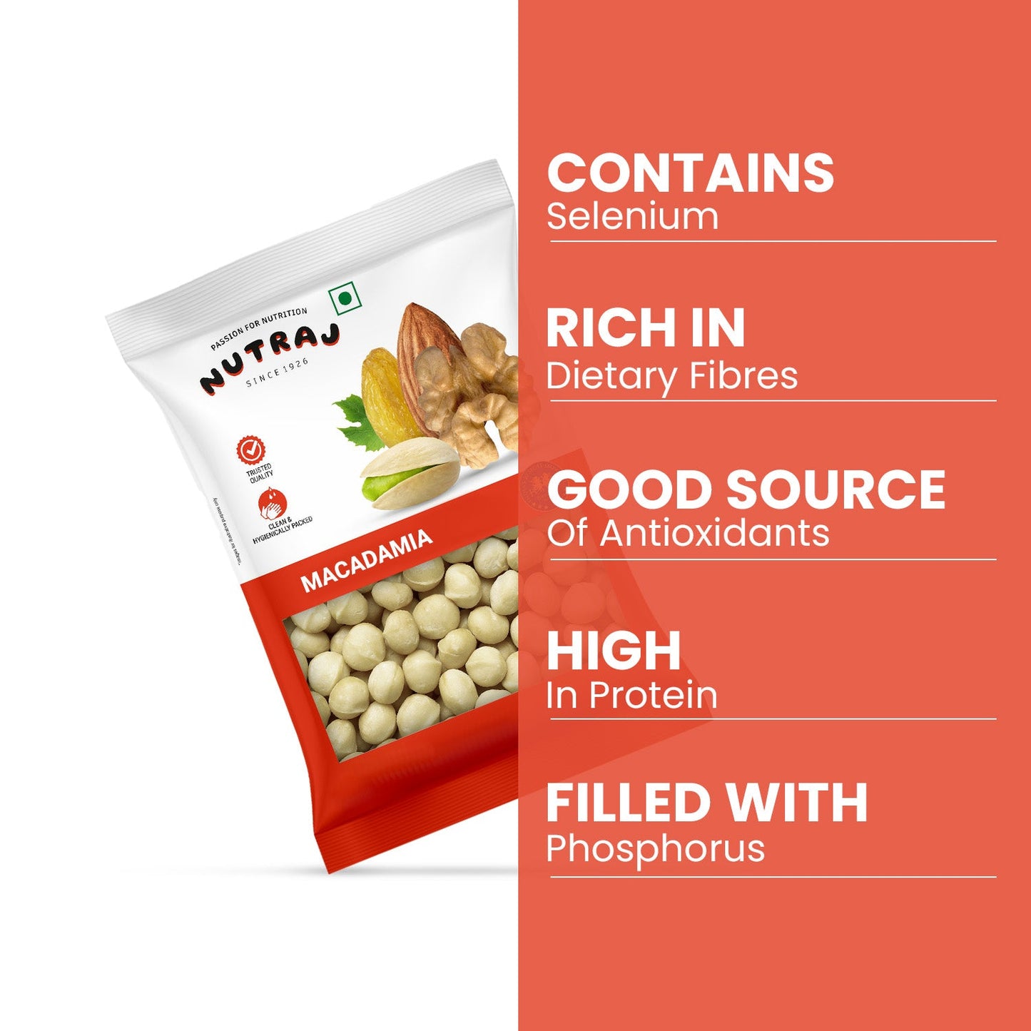 Nutraj Macadamia Nuts 100gm
