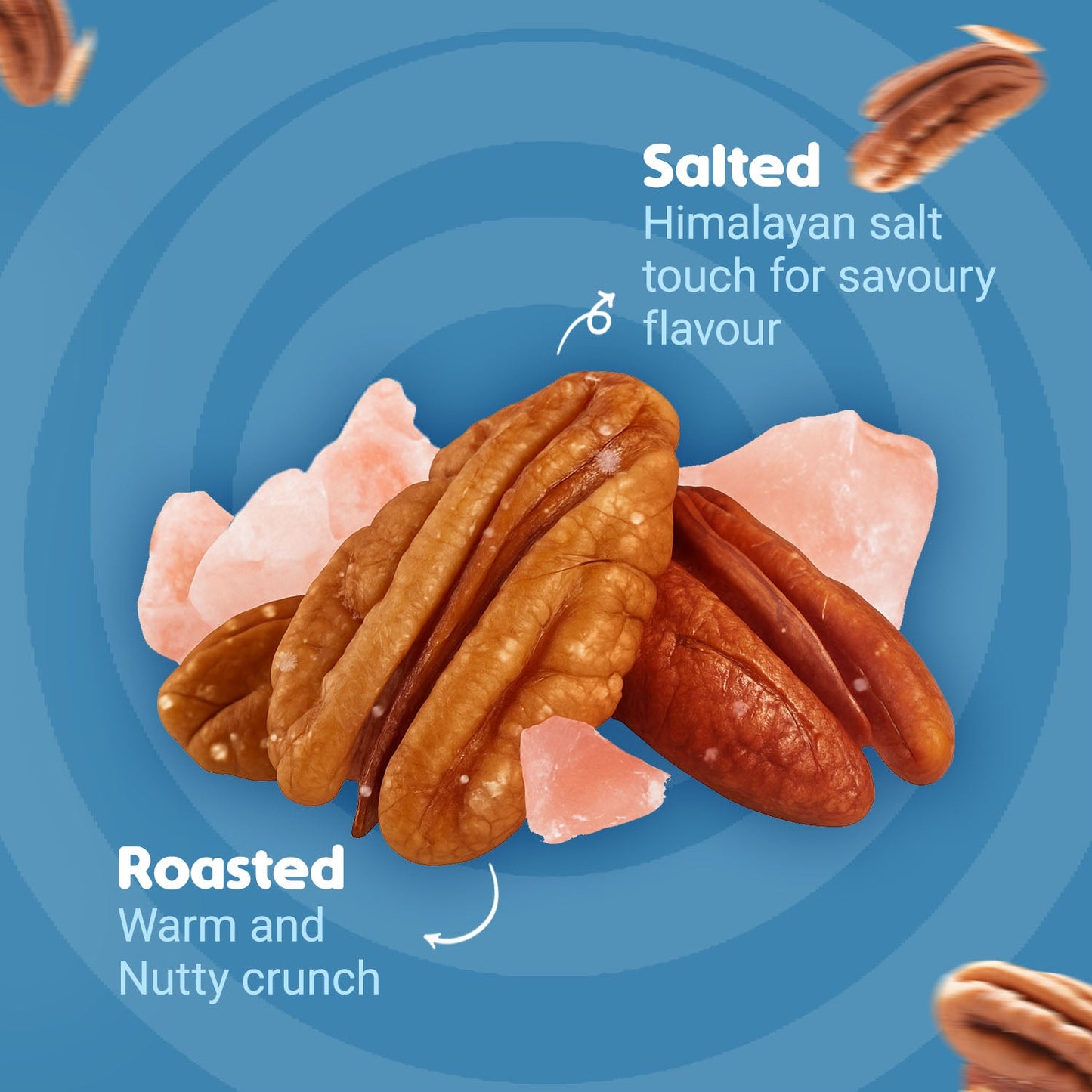 Nutraj Snackrite Roasted & Salted Pecan Nuts 80 g Tin