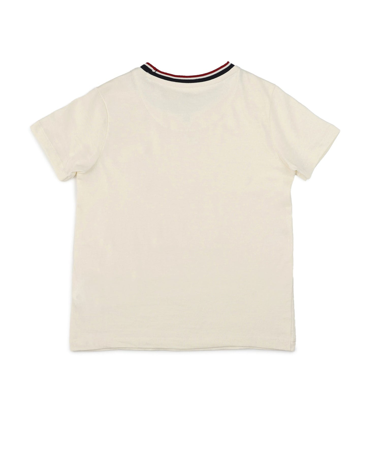 Boys Regular Fit Pure Cotton T-Shirt