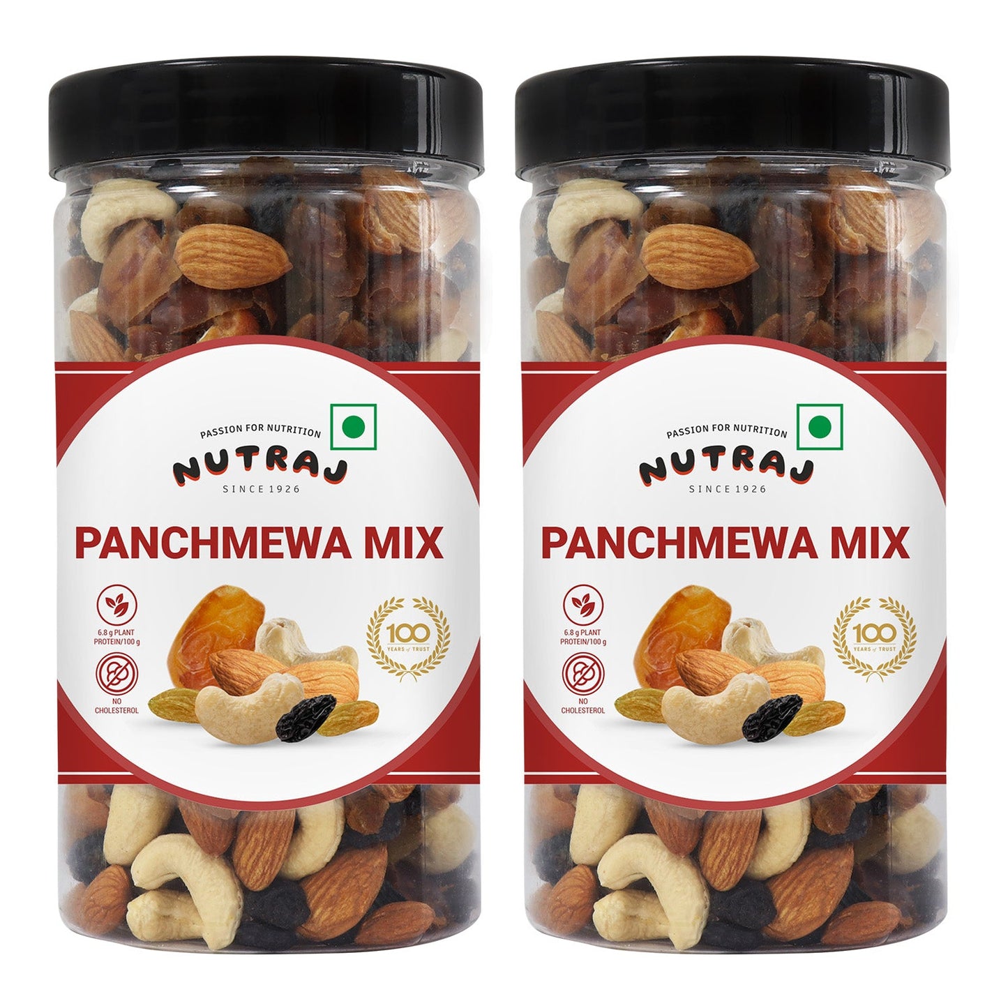 Nutraj Classic Panchmeva Mix 400 g Jar