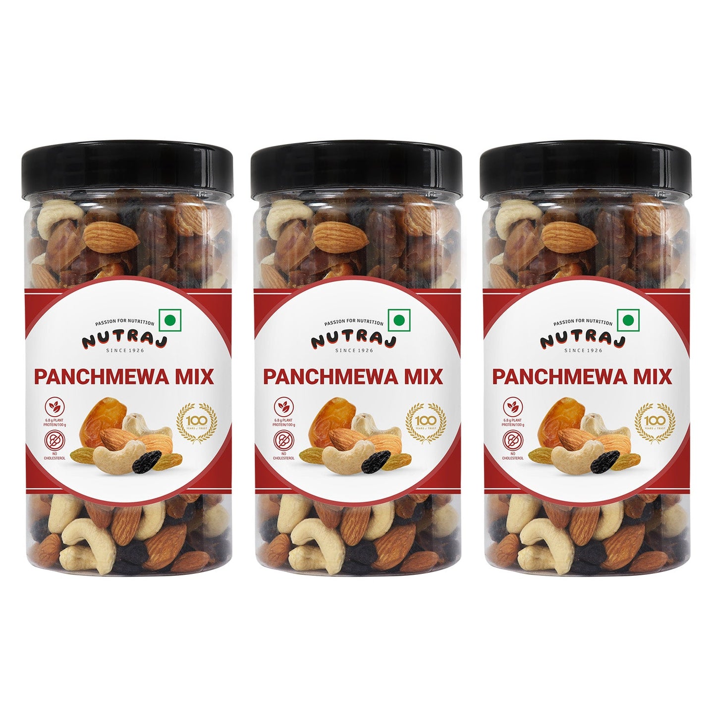 Nutraj Classic Panchmeva Mix 400 g Jar