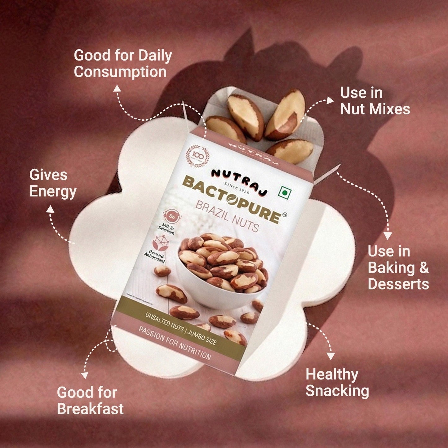 Nutraj Bactopure Roasted Brazil Nut 100gm